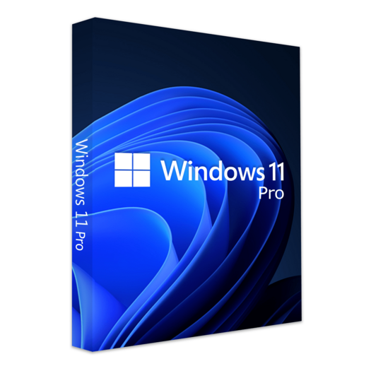 Windows 11 PRO