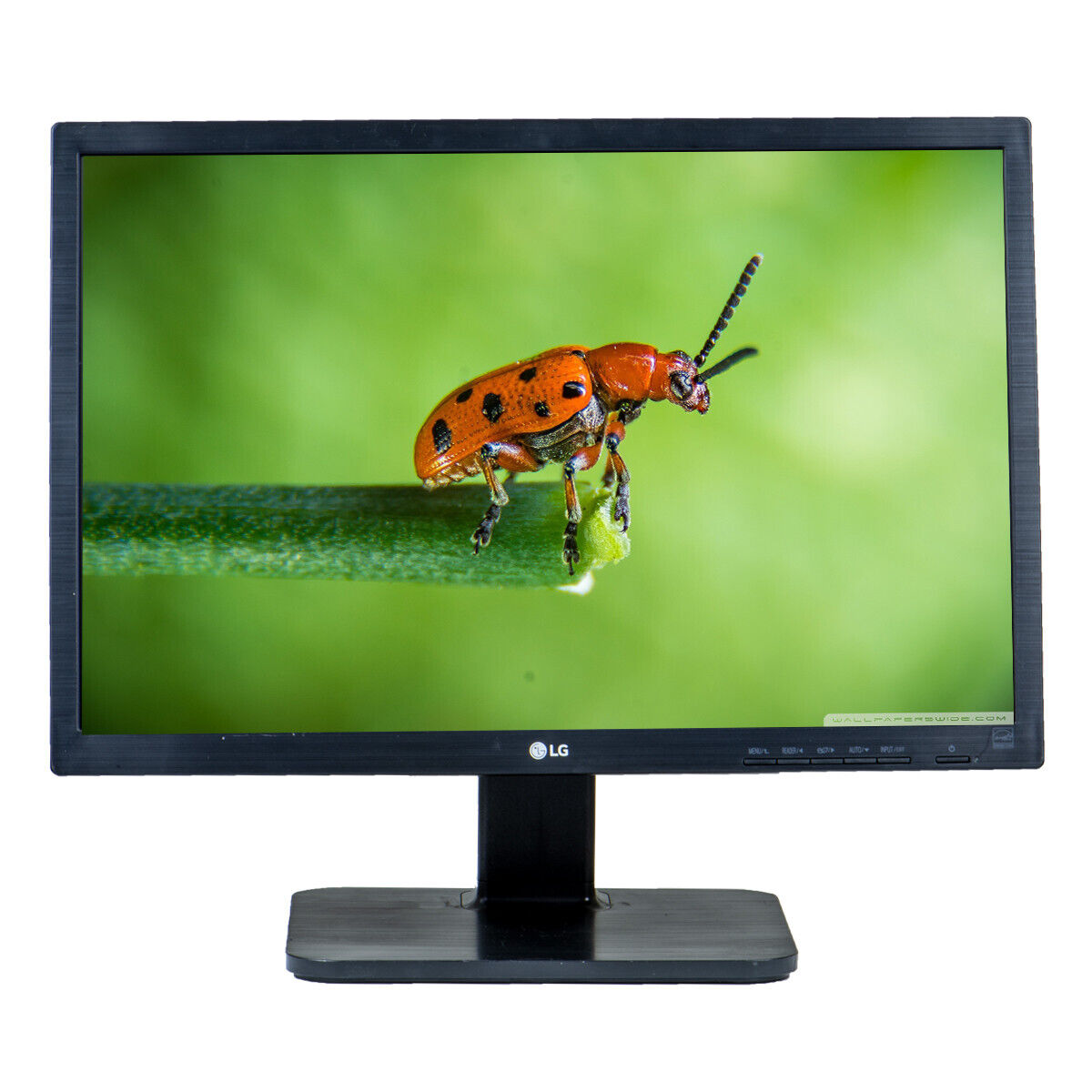 LG 22MB65PM | 22 inch Full HD | LED | VGA + DVI